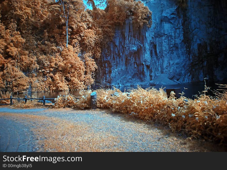 Infrared Photo â€“ Tree And Lake