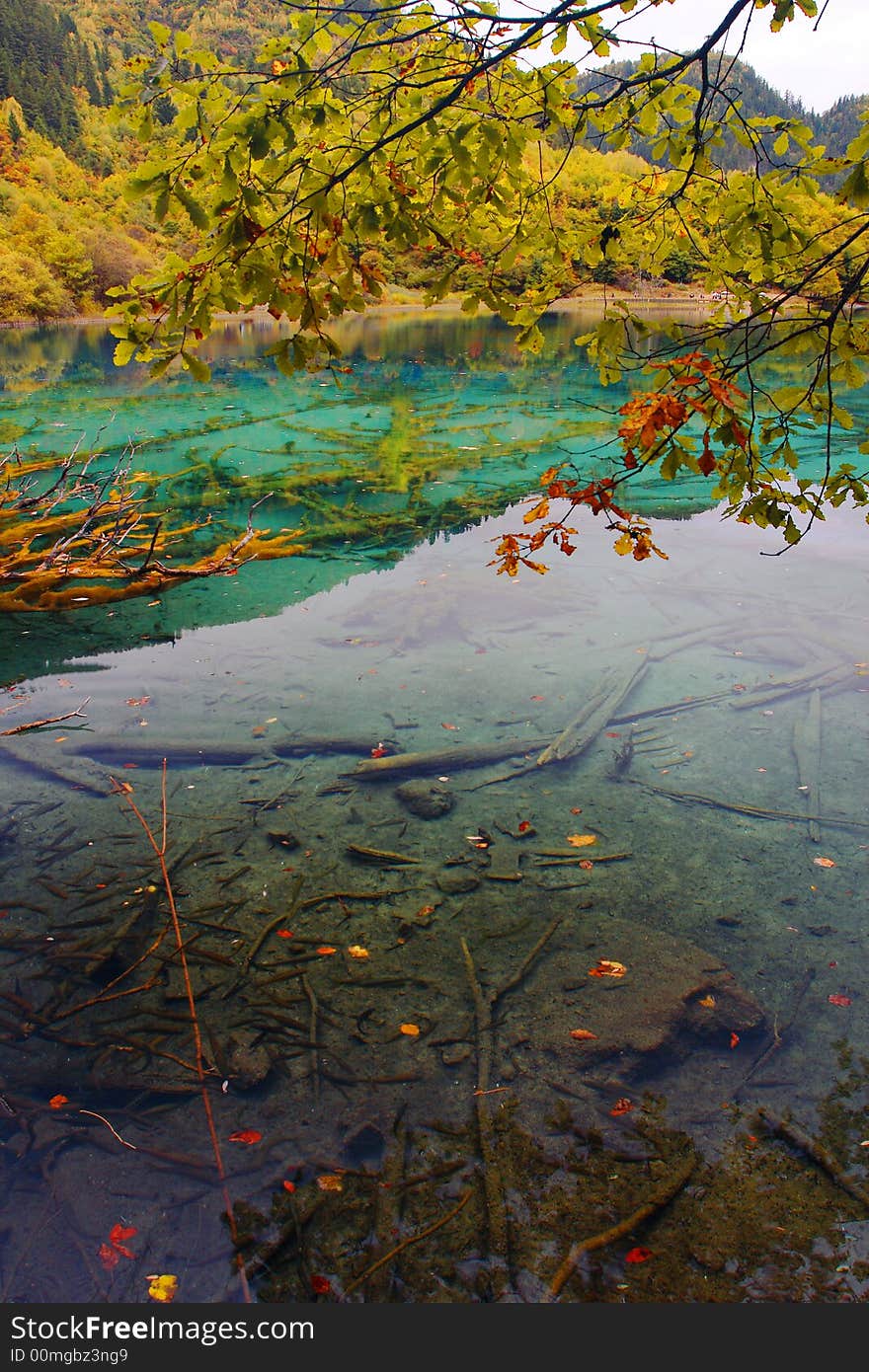 Beautiful lake with faded tree in it, the limpidity water show you the whole faded tree. Beautiful lake with faded tree in it, the limpidity water show you the whole faded tree.