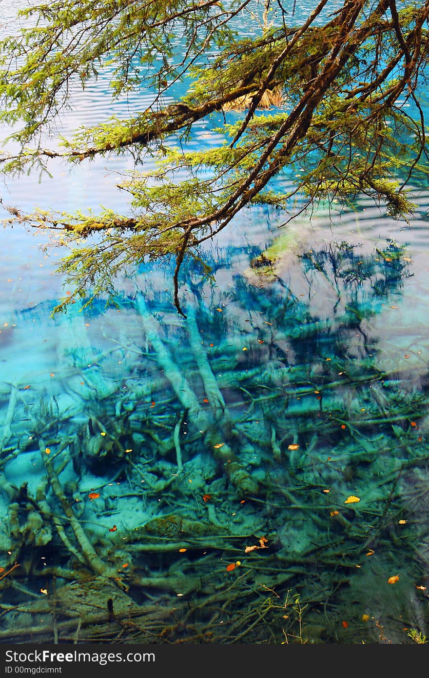 Beautiful lake with faded tree in it, the limpidity water show you the whole faded tree. Beautiful lake with faded tree in it, the limpidity water show you the whole faded tree.