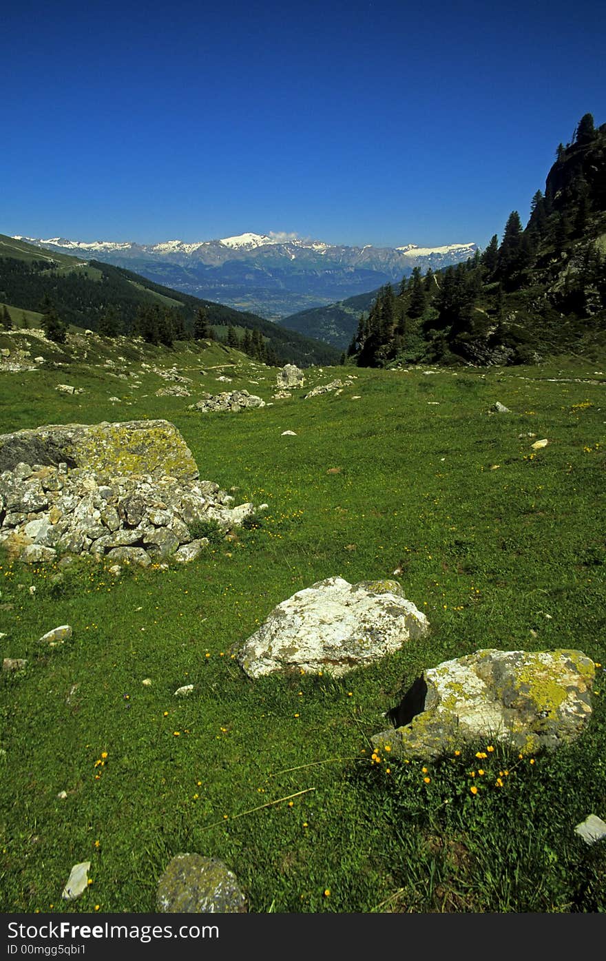 Swiss Alps