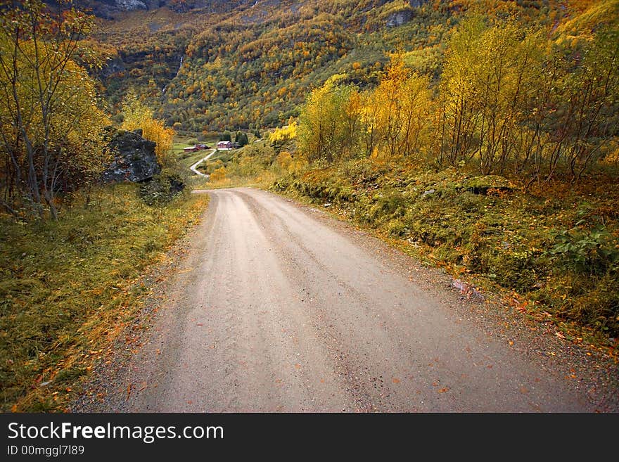 Path in the forest during autumn season