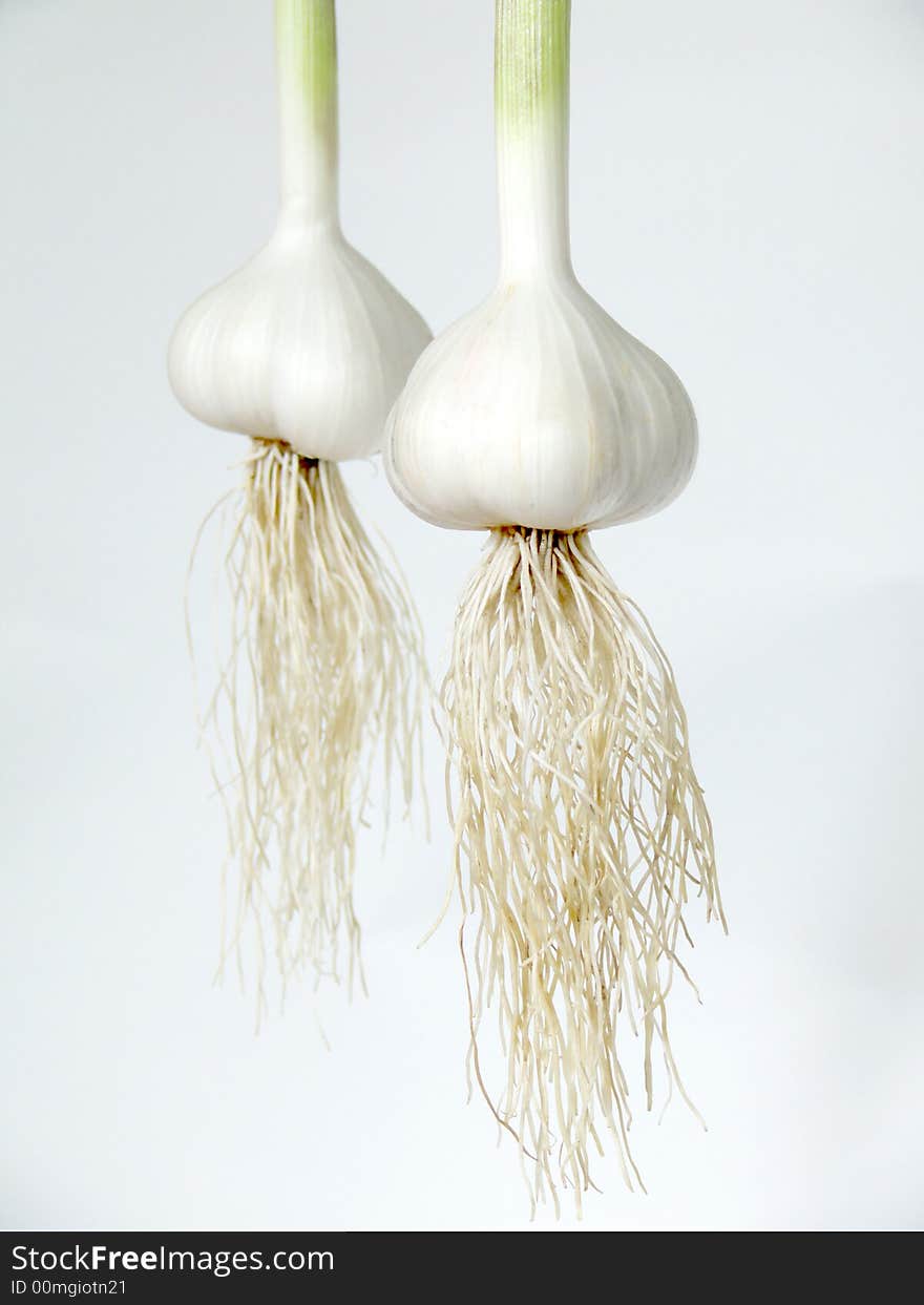 Garlic on a white background