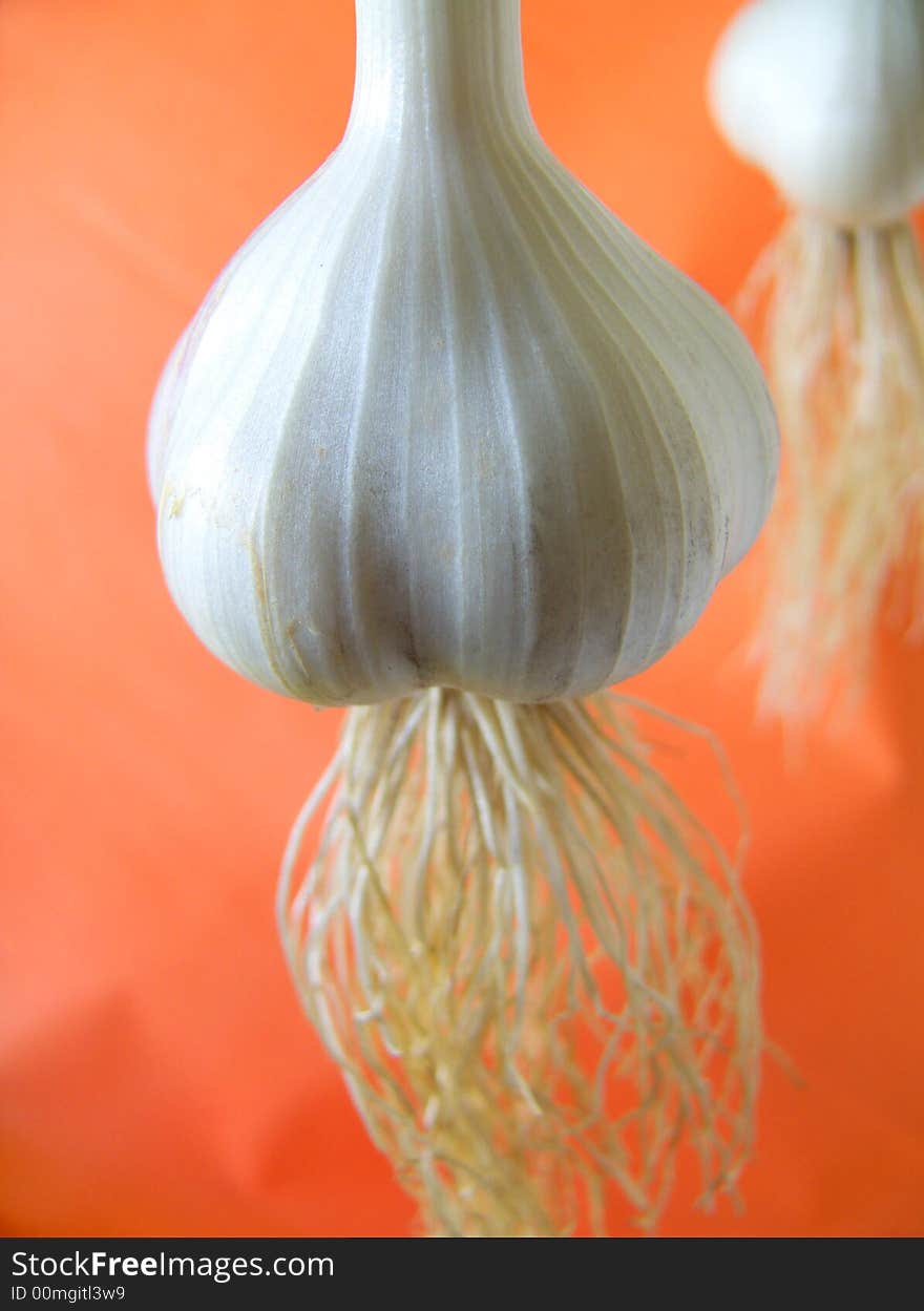 Garlic on a red background