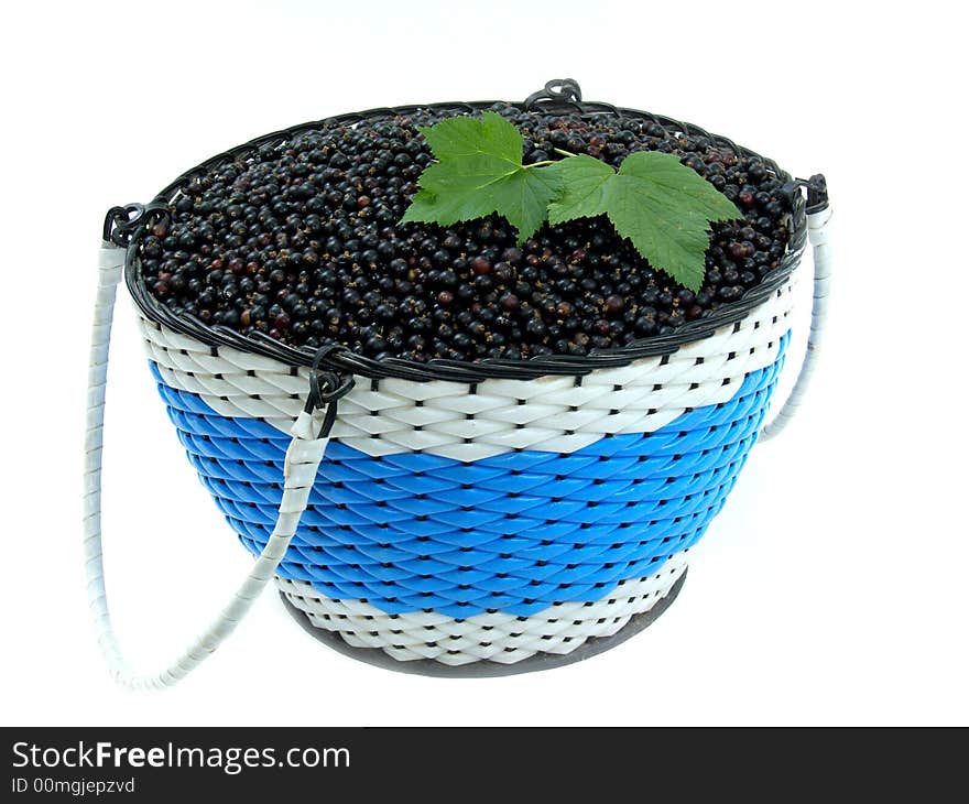 Black-currant on a white background