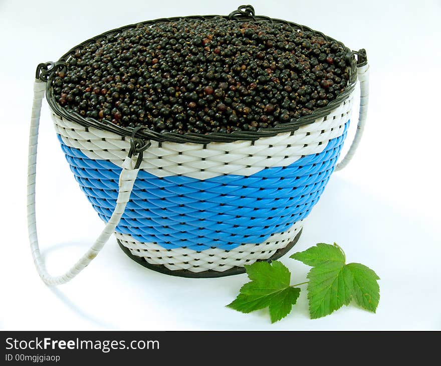 Black-currant on a white background