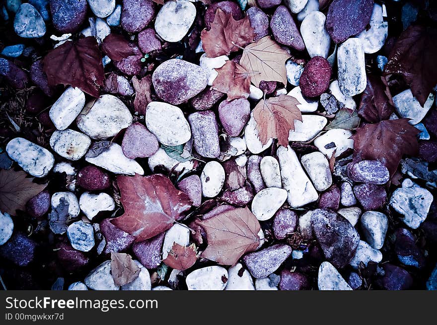 Autumn Leaves and Pebbles