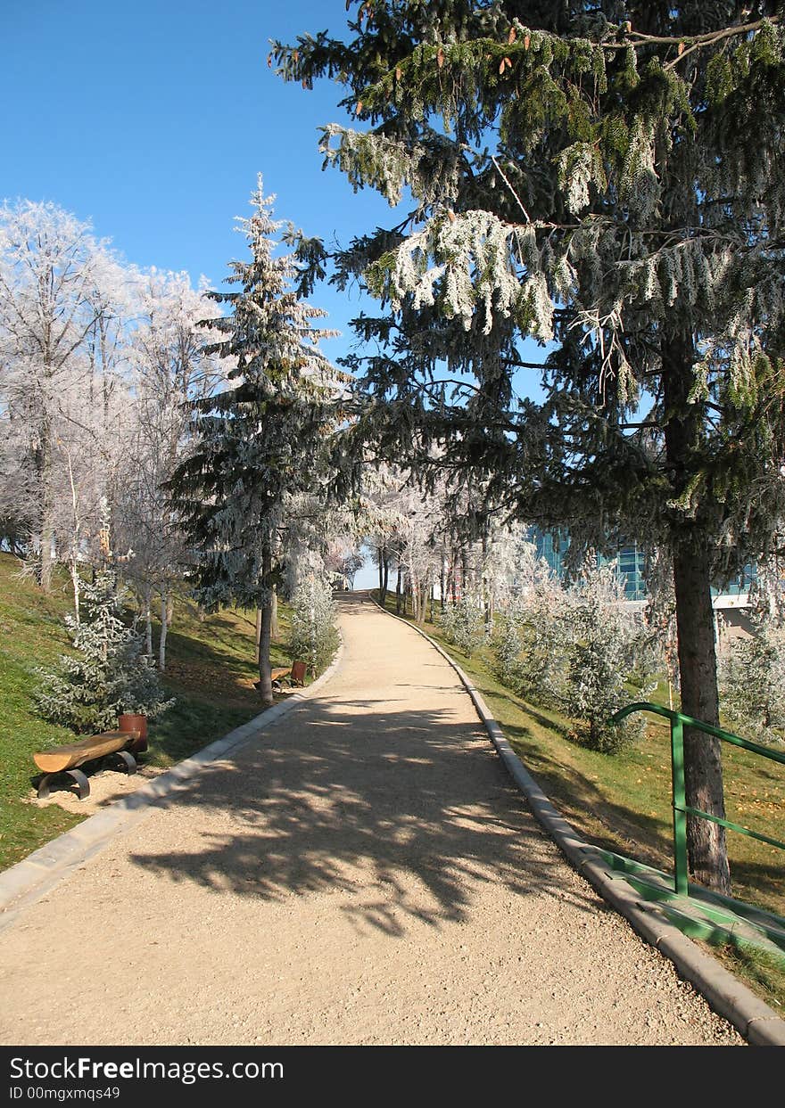 Roadway in the city park. Roadway in the city park.