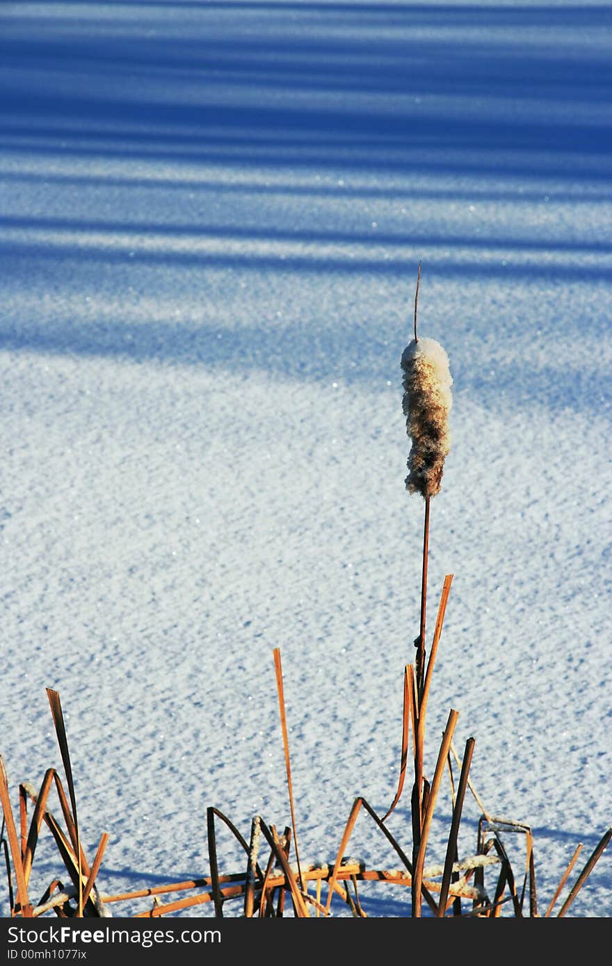 Winter Landscape.