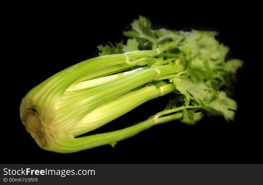 Green celery on black background