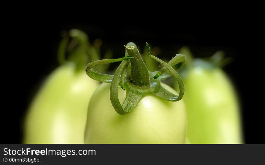 Group of thre green tomatoes close up on black background. Group of thre green tomatoes close up on black background