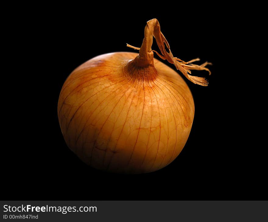 Single onion close up on black background. Single onion close up on black background