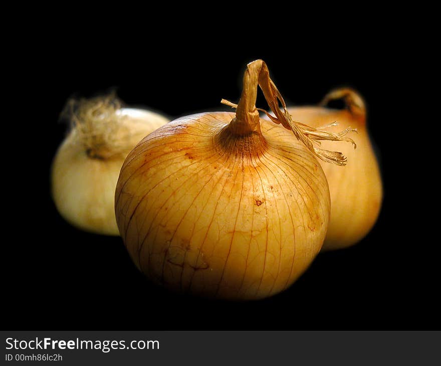 Single onion close up on black background. Single onion close up on black background