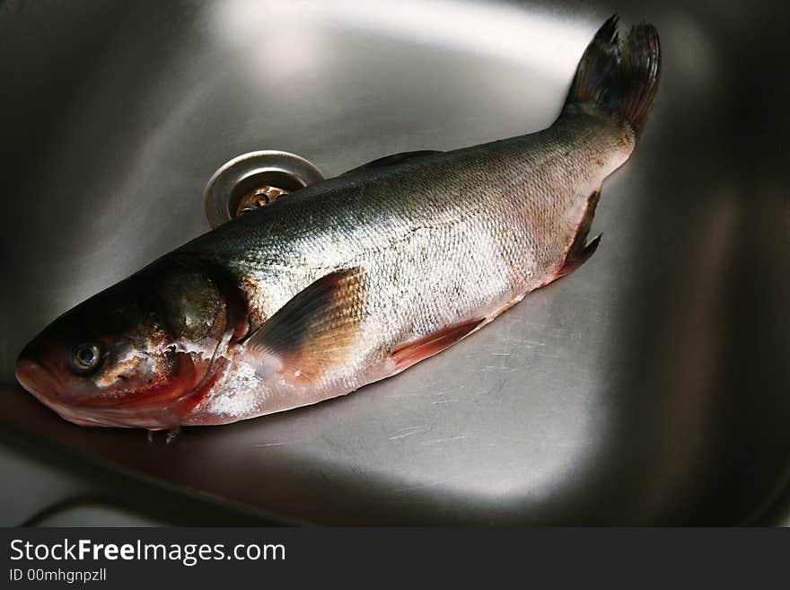 Fresh fish in a metal sink on kitchen