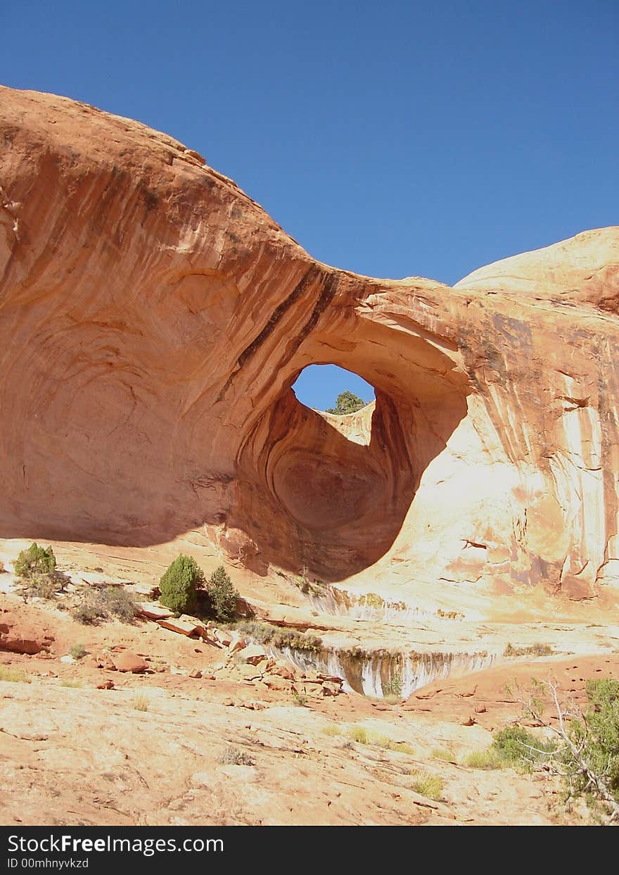 Bowtie Arch