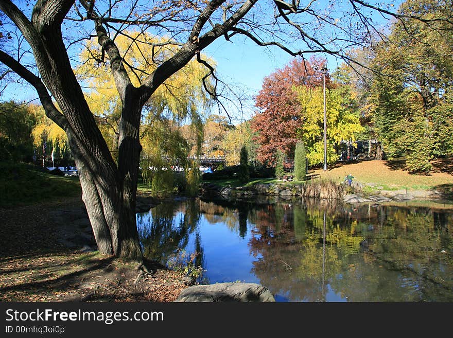 Central Park in Fall