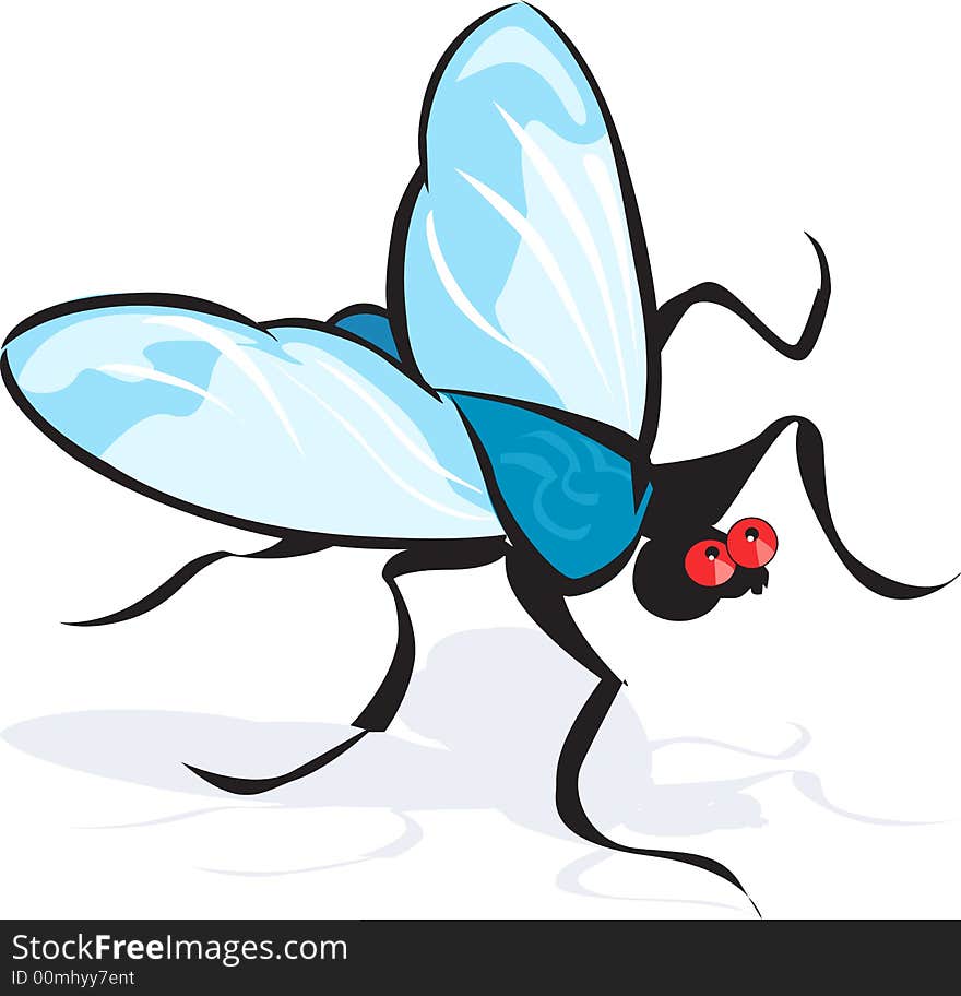 Illustration of a silhouette of flywith wings open. Illustration of a silhouette of flywith wings open