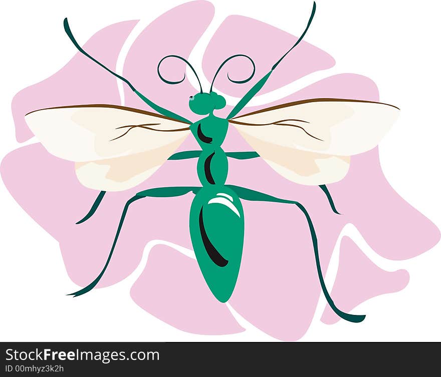 Illustration of a green body coloured bee on a pink surface. Illustration of a green body coloured bee on a pink surface