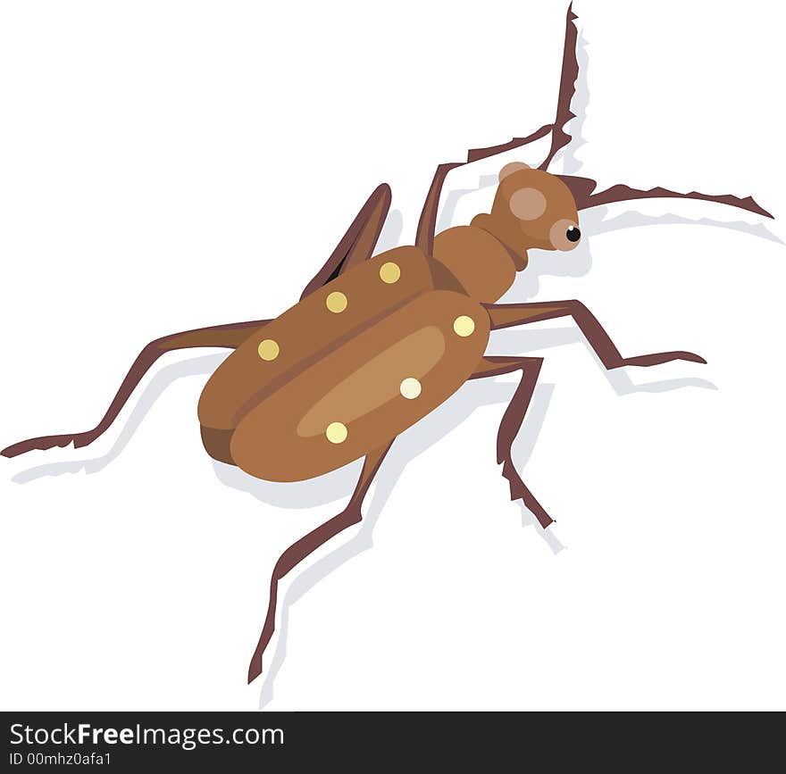 Illustration of a colourful bug moving on a surface. Illustration of a colourful bug moving on a surface