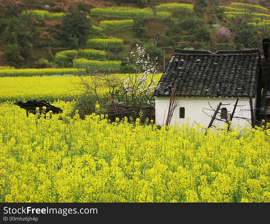 Spring in village