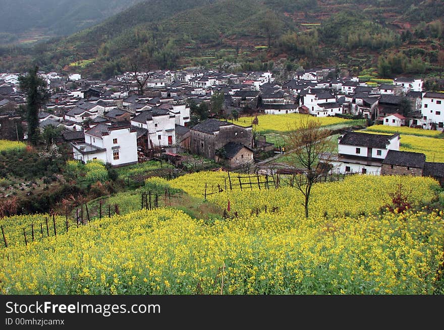 Spring season in a chinese village. Spring season in a chinese village