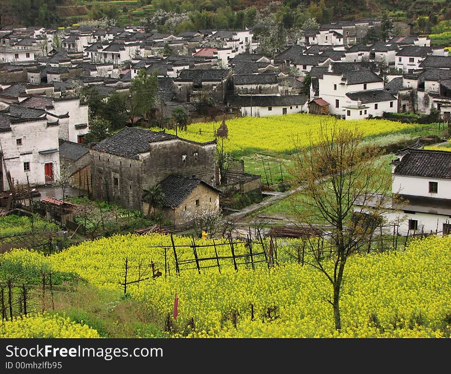 Spring season in a chinese village. Spring season in a chinese village