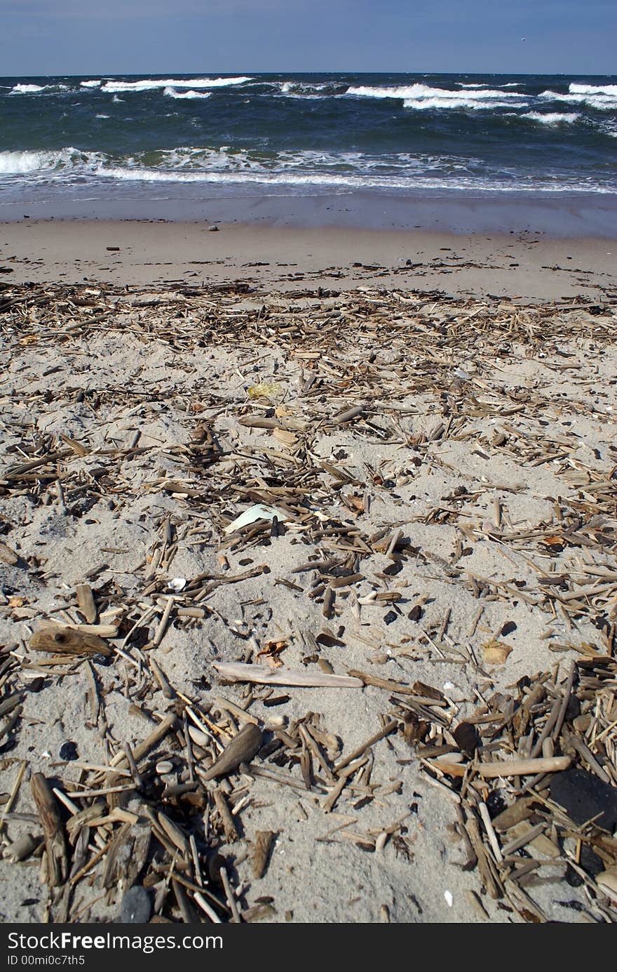 Fire wood on the beach