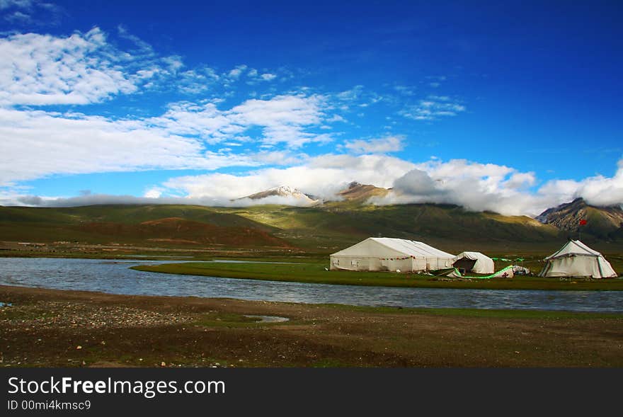 Prairie On The North Of Tibet