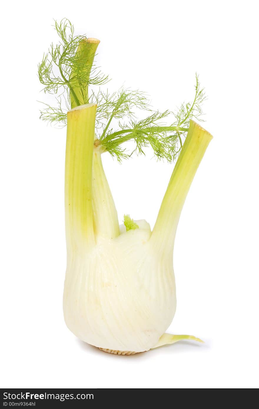 Image series of fresh vegetables on white background - fennel