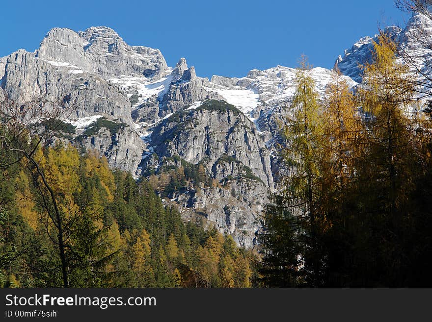 Sky , Rocks , Snow and Mountains. Alps,Loferer Steinberge ,Austria ,Tirol, Waidring not so far from Salzburg . Autumn Trees on the background of Rocks and snow . Sky , Rocks , Snow and Mountains. Alps,Loferer Steinberge ,Austria ,Tirol, Waidring not so far from Salzburg . Autumn Trees on the background of Rocks and snow .