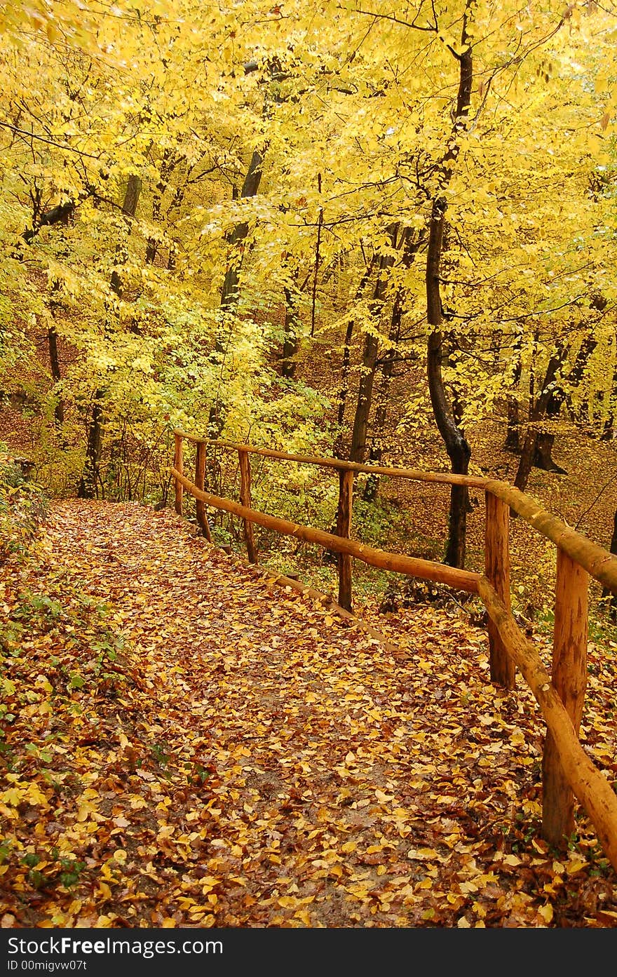 Path in golden forest with handle by one side. Path in golden forest with handle by one side