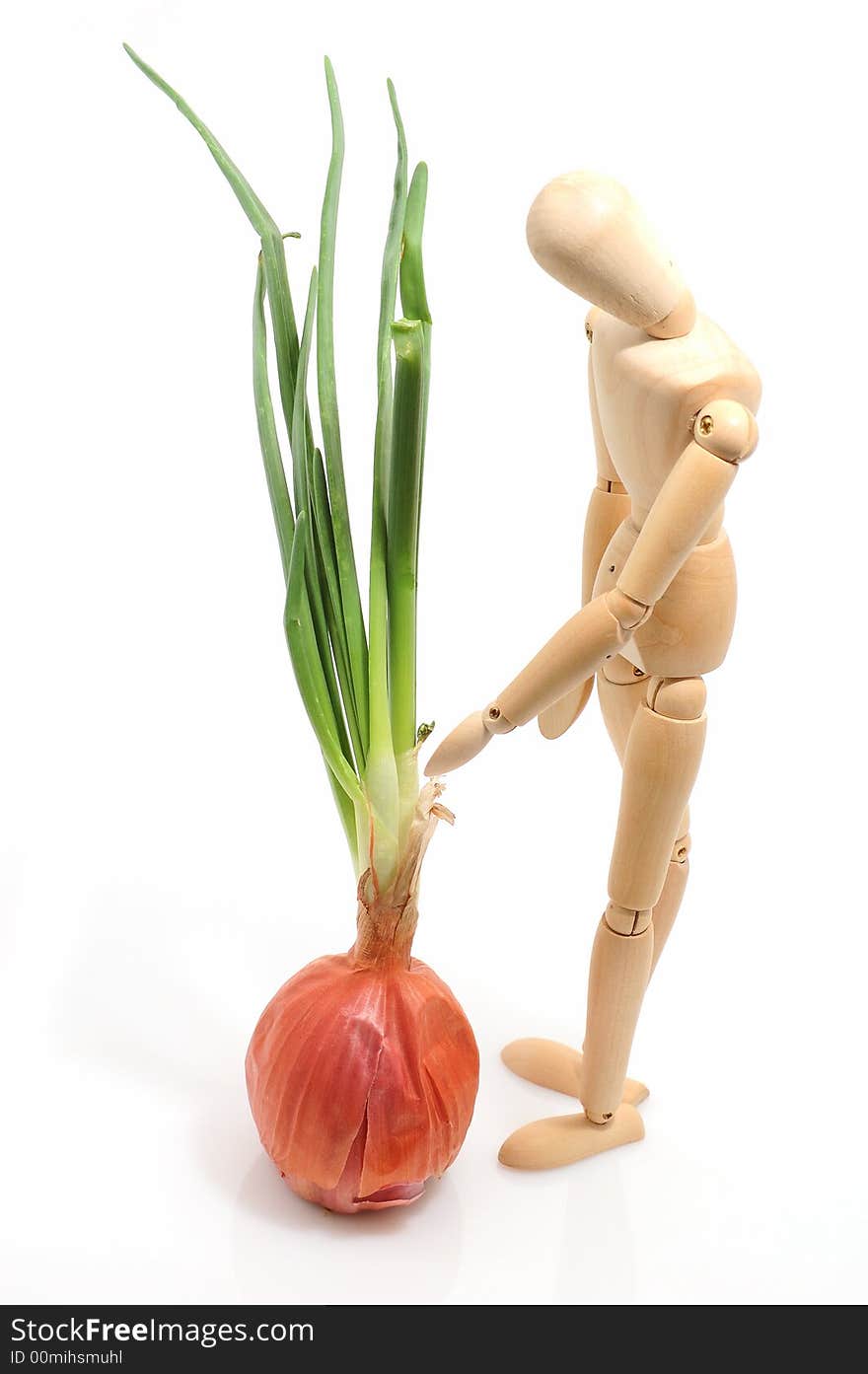 Onion and a wooden figure. Onion and a wooden figure