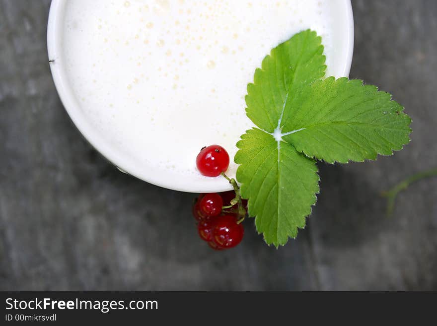 Cup with milk and red currant and leaf