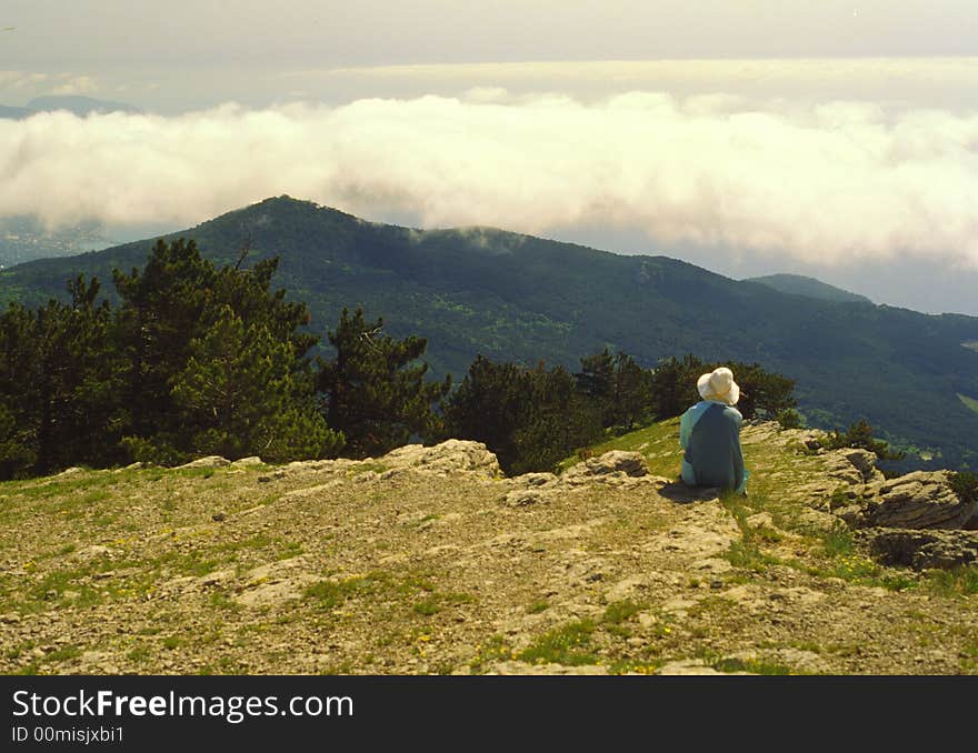 Mountains on a background of a wood. Mountains on a background of a wood