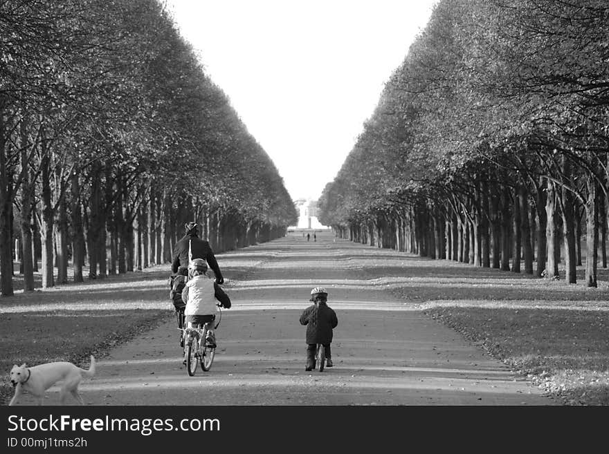 Family riding their bikes down a long stretch of wooded path. Family riding their bikes down a long stretch of wooded path