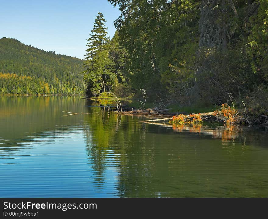 The lake surrounded by a dense fir forest. The lake surrounded by a dense fir forest