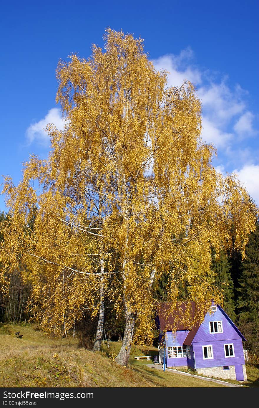 Small house for rest in Carpathian mountains. Small house for rest in Carpathian mountains