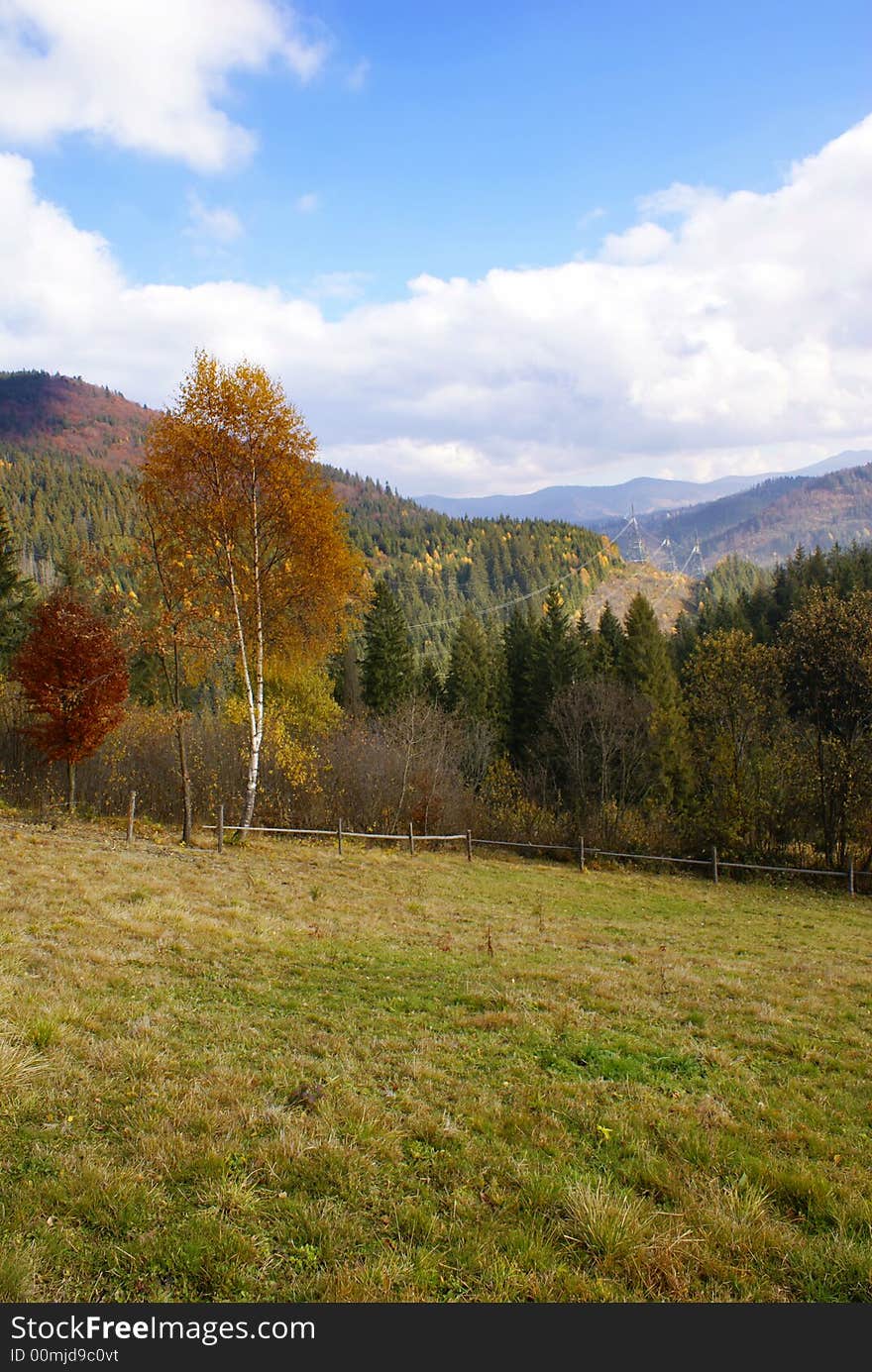 Autumn In Carpathian Mountains