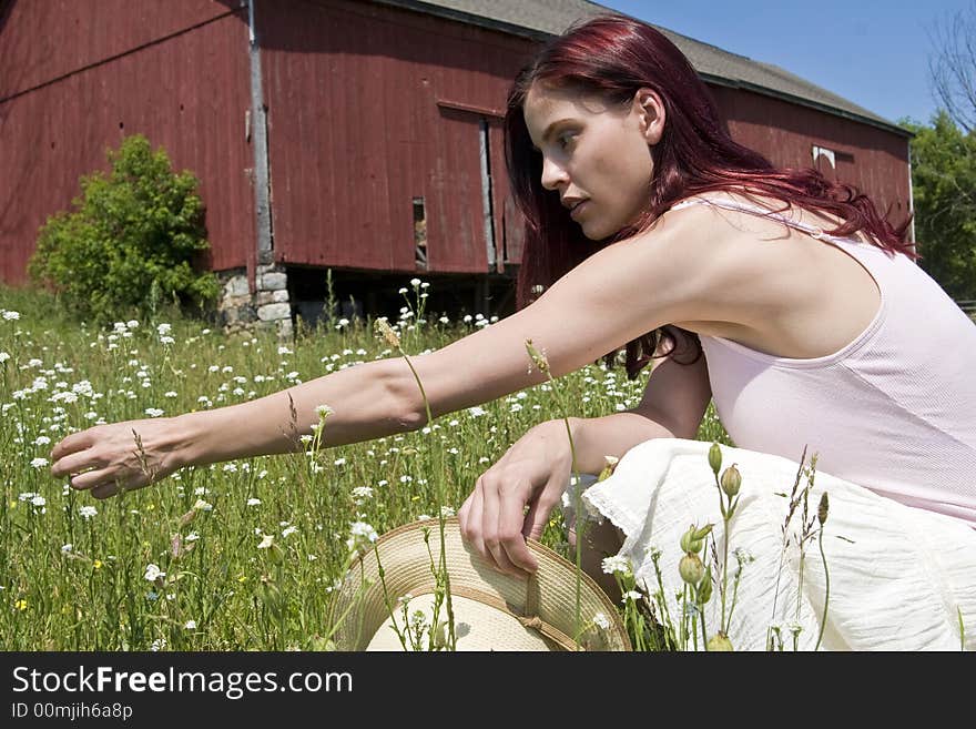 Beautiful  young woman with red hair picking wild flowers in a field with a red barn in the background. Beautiful  young woman with red hair picking wild flowers in a field with a red barn in the background