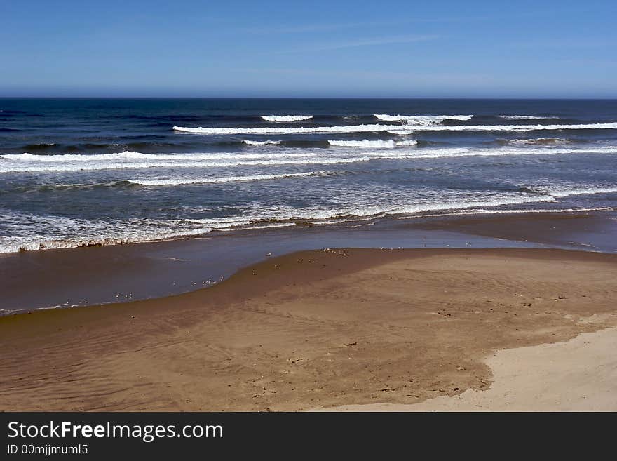 Tiny seagulls on the shore