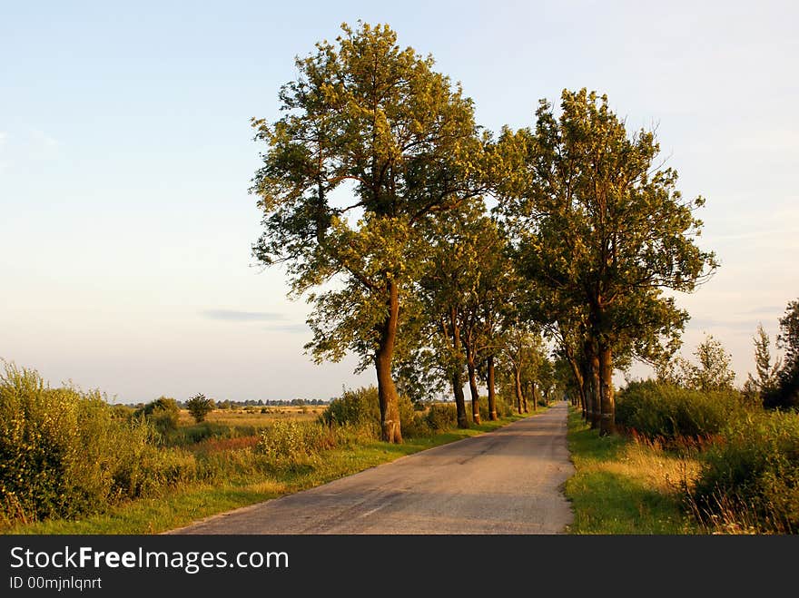 Empty road in Kaliningrad region, Russia. Empty road in Kaliningrad region, Russia