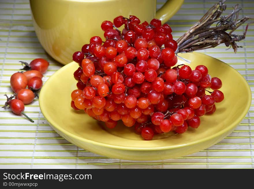 Red viburnum on a yellow saucer