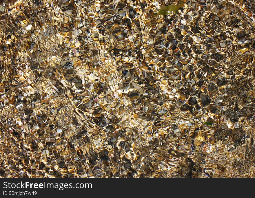 Background from yellow underwater shells