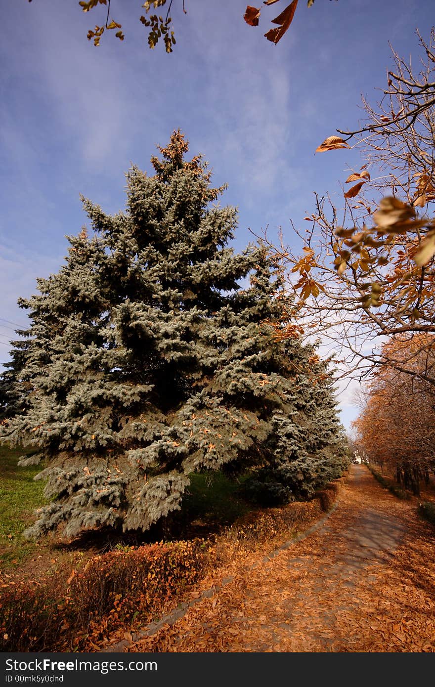 City Nature - Lipetsk Autumn Park Theme. City Nature - Lipetsk Autumn Park Theme