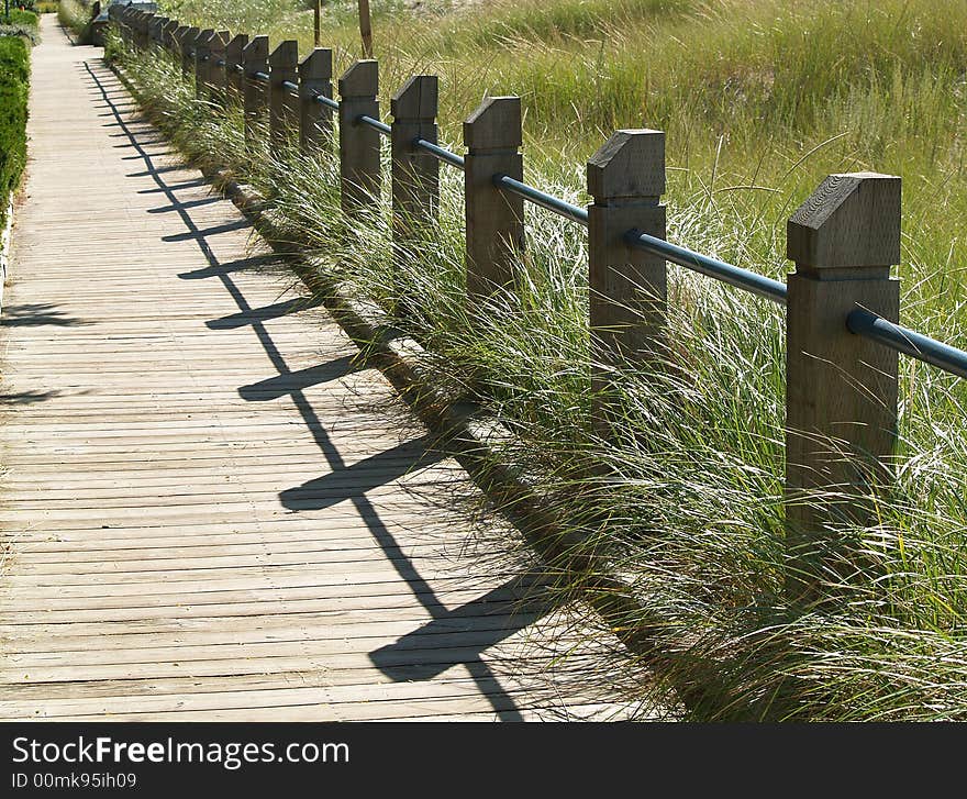 Grassy Boardwalk