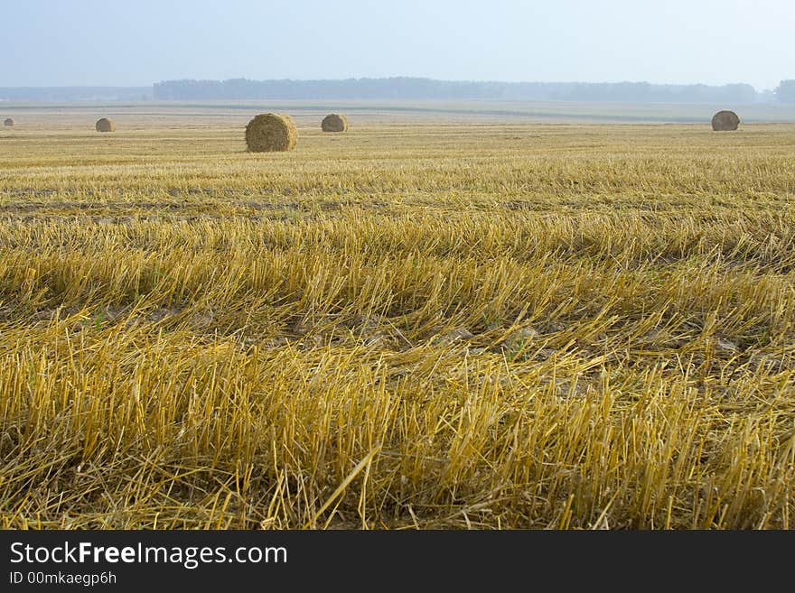 Harvested fields with hay bales. Harvested fields with hay bales