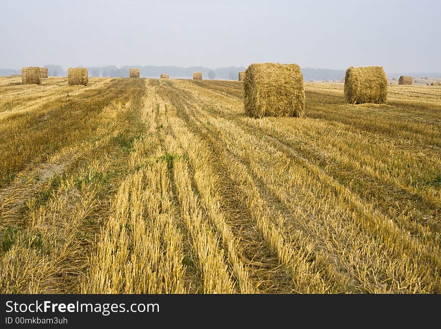 Hay Bale fields