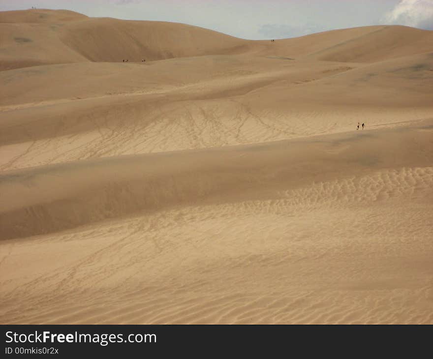 The picture of sand dunes taken in Great Sand Dunes National Park in Colorado.