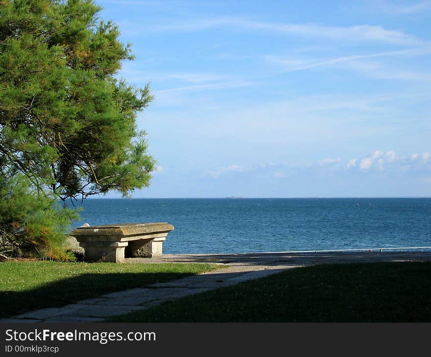 Bench With A View