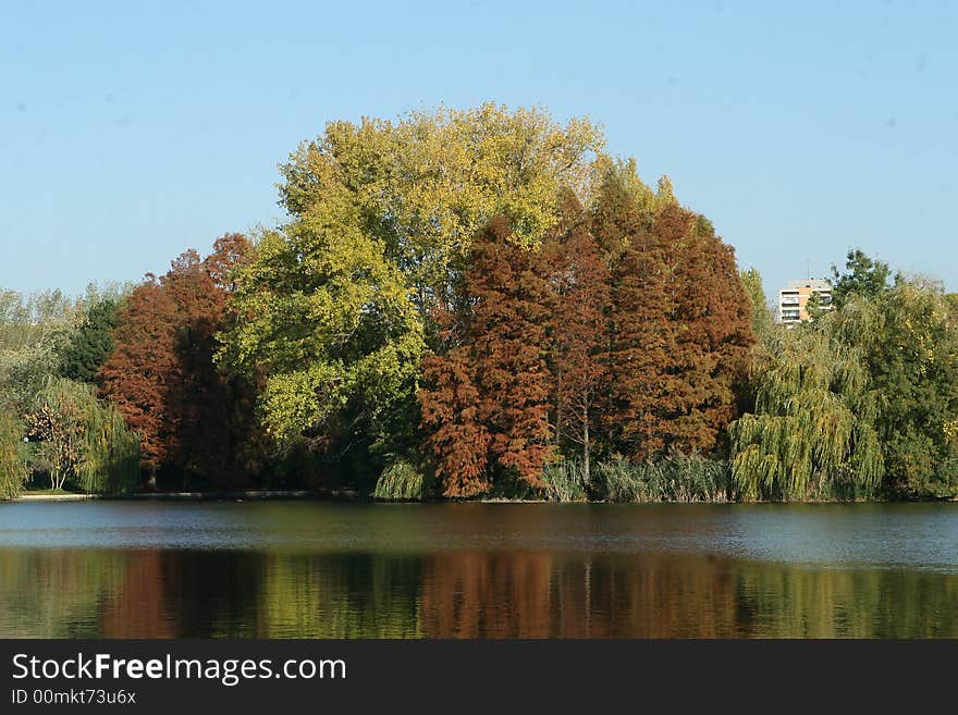 Many colored trees over the lake