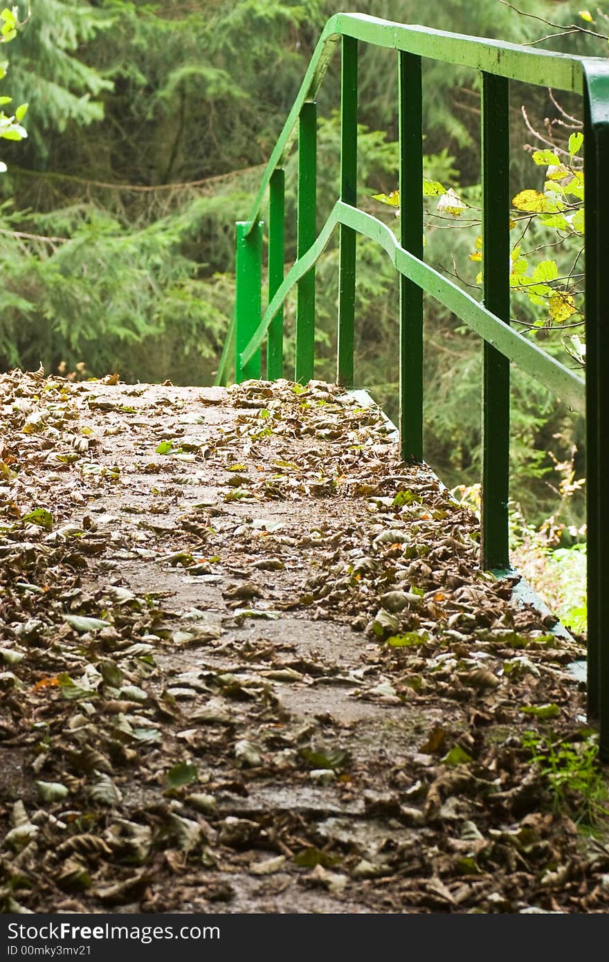 Small bridge covered in fallen leaves in a forest. Small bridge covered in fallen leaves in a forest